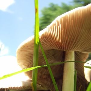 Meet your Posher, Miranda